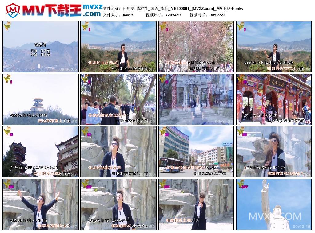 付明勇-镇雄情_国语_流行_ME600091